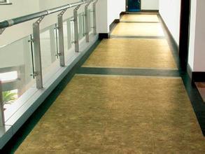 塑膠地板003-哈爾濱晟陽(yáng)建筑裝飾(網(wǎng)站出售)